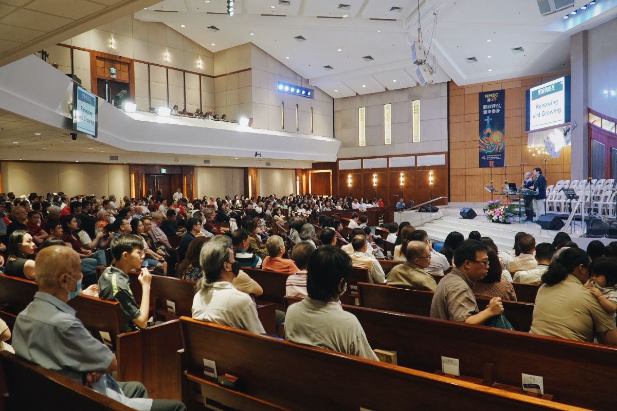 NMECat25-12 NMECat25-12