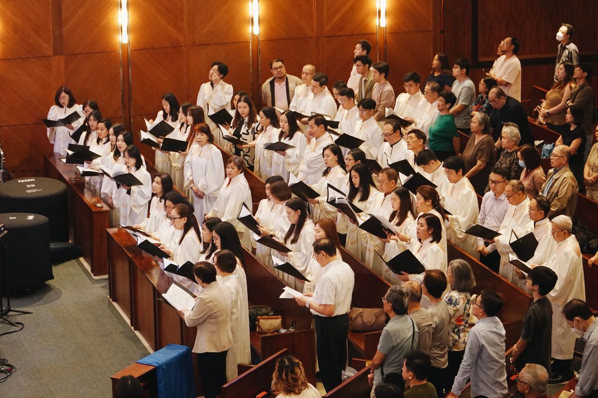 NMECat25-5 NMECat25-5