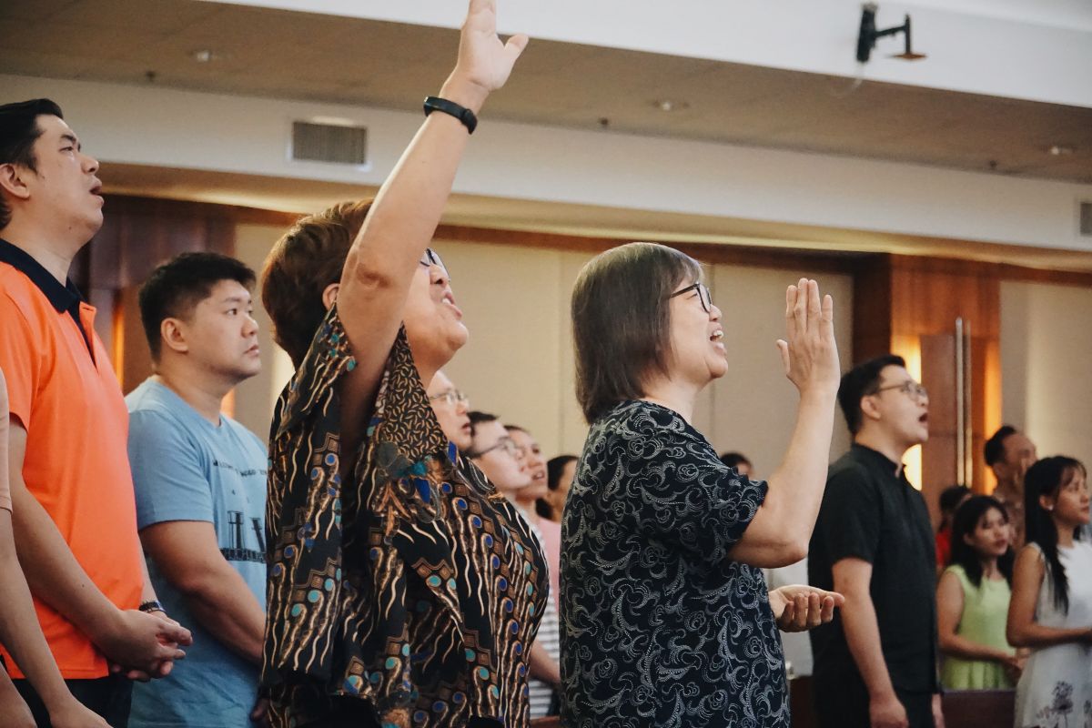 NMECat25-7 NMECat25-7